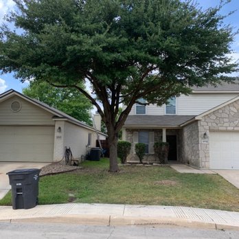 Texas Hill Country Trees - After picture of Large tree trimmed and the removal of small tree (no longer in picture). - Tree Services Near Me Texas Hill Country Trees - After picture of Large tree trimmed and the removal of small tree (no longer in picture). - Tree Services Near Me