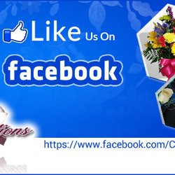 Carter Creations Florist