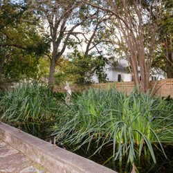 Belle Oaks Inn - Viewing Pond 2