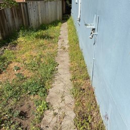 Before - side yard path