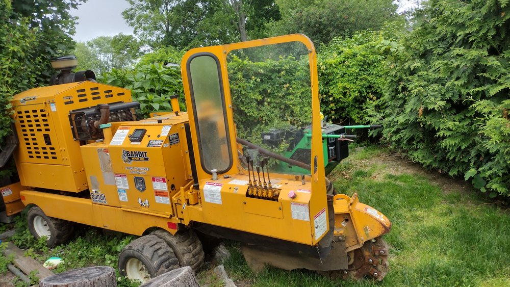 AAA TREE SERVICES Request a Quote 27 Photos Tomah, Wisconsin