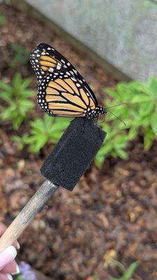 Chattahoochee Nature Center by null