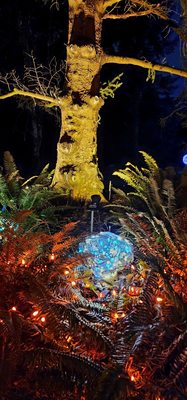 VanDusen Botanical Garden by null