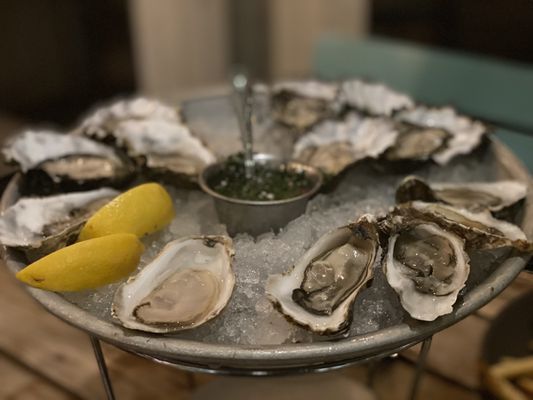 Hog Island Larkspur by null