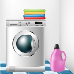 Mobile Wash N Fold of Reno