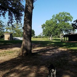 Texas Modern K9s - Backyard