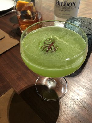 Alderwood Santa Cruz by null