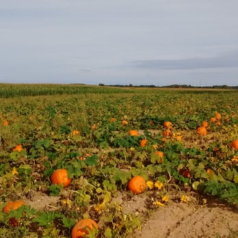 Windy Acre Farms - Fruits & Veggies Near Me - Calverton, New York Windy Acre Farms - Fruits & Veggies Near Me - Calverton, New York