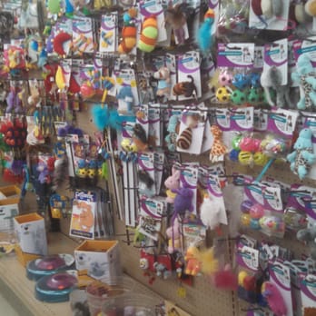 Creature Comforts - Cat toys ready for any kitten. - Pet Stores Near Me - Milwaukie, Oregon Creature Comforts - Cat toys ready for any kitten. - Pet Stores Near Me - Milwaukie, Oregon