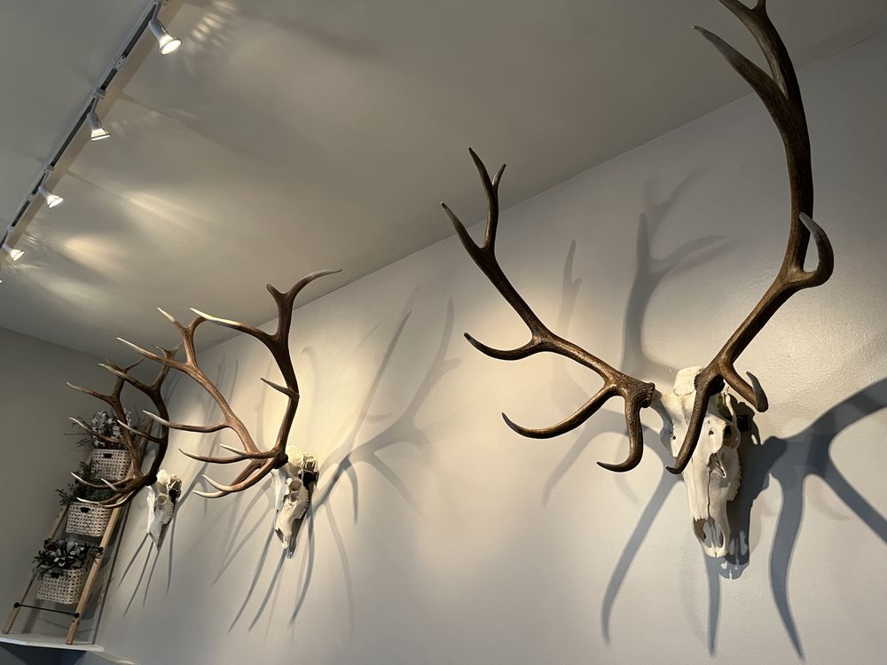 Trappers Trading Post - taxidermy in Cheyenne, WY