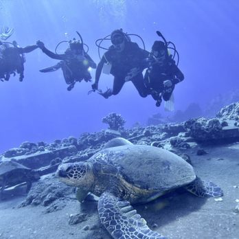 Maui Pacific Divers - Boat Tours Near Me - Maalaea, Hawaii