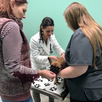 The Pet Wellness Group: Hebron - Veterinarians Near Me - Hebron, Kentucky