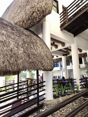 JAVA HOTEL by null
