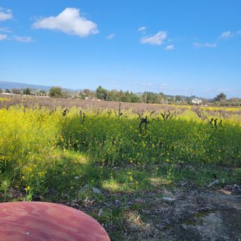 Fortino Winery - Venues & Event Spaces Near Me - Gilroy, California