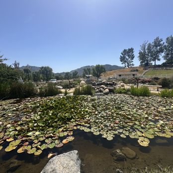Rose Haven Heritage Garden - Community Gardens Near Me - Temecula, California