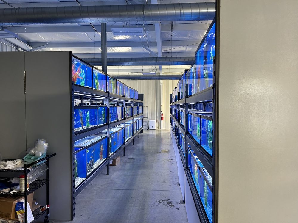 PET COVE Updated September 2024 11 Photos 2218 E Center St, Kingsport, Tennessee Pet