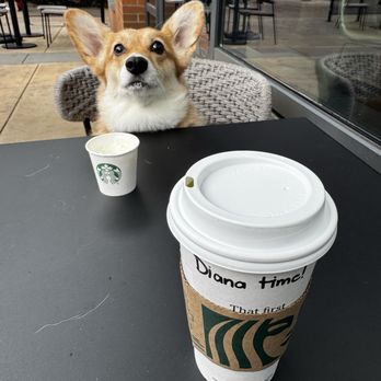 Starbucks - Had a coffee date with my corgi - Coffee & Tea Near Me - Seattle, Washington