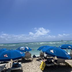 Dive Oahu & Surf