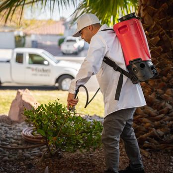Fischer's Pest Control - Pest Control Near Me - Las Vegas, Nevada Fischer's Pest Control - Pest Control Near Me - Las Vegas, Nevada