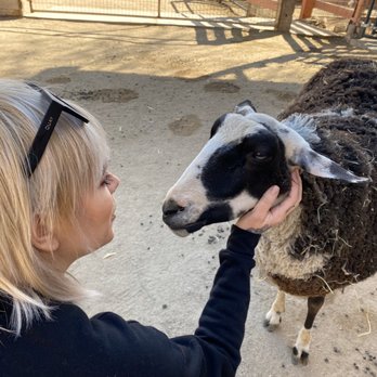 Farm Sanctuary - Animal Shelters Near Me - Acton, California Farm Sanctuary - Animal Shelters Near Me - Acton, California
