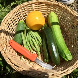 First Light Farm - So fresh and yummy.