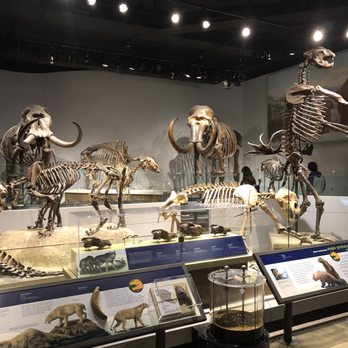 Field Museum - Museums Near Me - Chicago, Illinois Field Museum - Museums Near Me - Chicago, Illinois