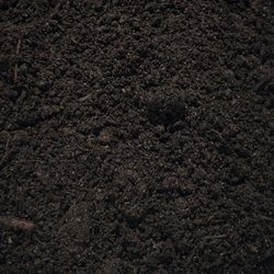 Compost