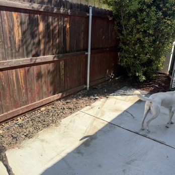 Small Time Hauling Co - Yard after removal - Junk Removal & Hauling Near Me - Reseda, California Small Time Hauling Co - Yard after removal - Junk Removal & Hauling Near Me - Reseda, California