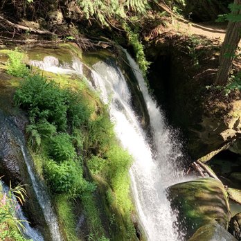 Whatcom Falls Park - Dog Parks Near Me - Bellingham, Washington