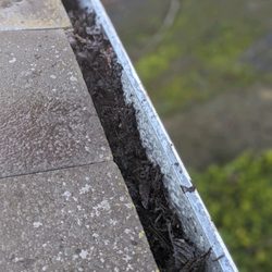 Simply Clean - Our gutters before cleaning