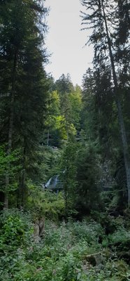Triberg Waterfalls by null