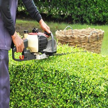 Colonial Tree & Landscaping - Tree Services Near Me - Buxton, Maine Colonial Tree & Landscaping - Tree Services Near Me - Buxton, Maine