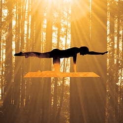 Joy of Movement Gyrotonic and Pilates Studio - Joy of Movement