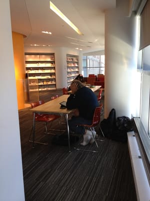 Battery Park City Library by null