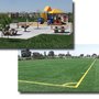Photo of Accinelli Park & Fields
