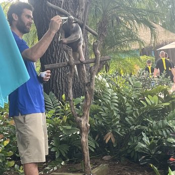 Discovery Cove - Animals - Amusement Parks Near Me - Orlando, Florida