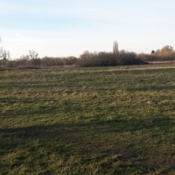 Zingerwiesen