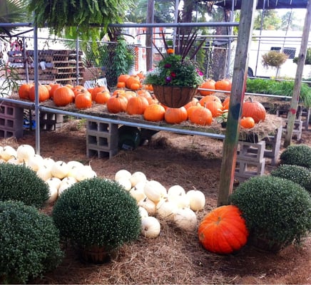 Davis Produce by null