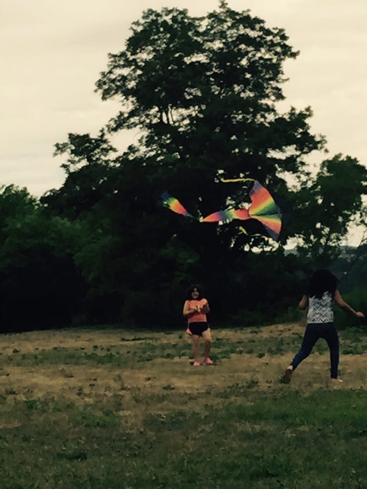 Kite Flying Logo