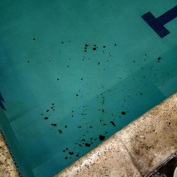 In-Shape Fitness - After swimming for 45 mins,Found shit in the pool. GM said its out of their control, didnt even bother to apologize. - Gyms Near Me - Palmdale, California In-Shape Fitness - After swimming for 45 mins,Found shit in the pool. GM said its out of their control, didnt even bother to apologize. - Gyms Near Me - Palmdale, California