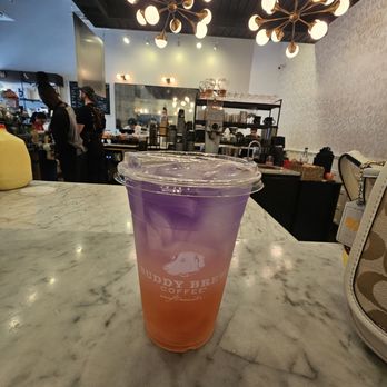 Buddy Brew Coffee - Coffee & Tea Near Me - Tampa, Florida Buddy Brew Coffee - Coffee & Tea Near Me - Tampa, Florida