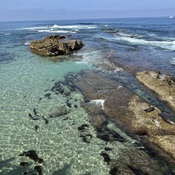 Children's Pool - Beaches Near Me - La Jolla, California Children's Pool - Beaches Near Me - La Jolla, California