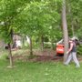 Photo of Olson Tree Services