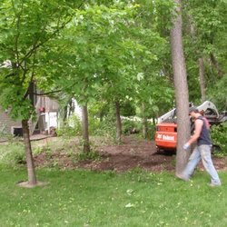 Olson Tree Services