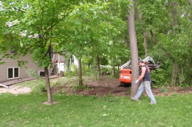 Olson Tree OLSON TREE SERVICES - Updated June 2026 - 16 Photos - 310 4th Ave NW ...