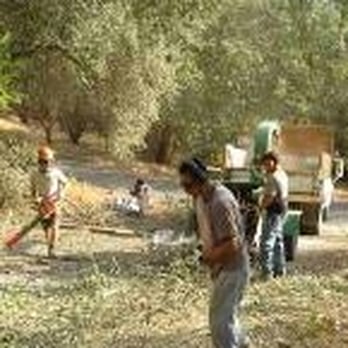 Argos Properties Property Care - Argos Crew - Landscaping Near Me - Sonora, California Argos Properties Property Care - Argos Crew - Landscaping Near Me - Sonora, California