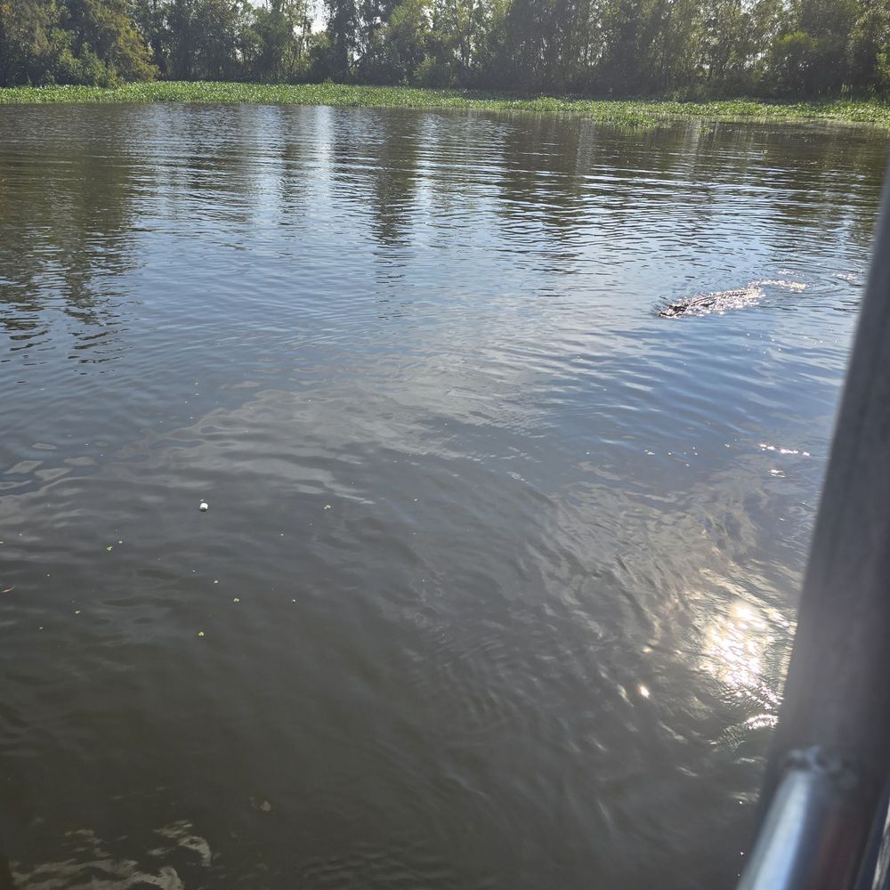 Big Easy Swamp Adventures - Fishing Near Me - New Orleans, Louisiana Big Easy Swamp Adventures - Fishing Near Me - New Orleans, Louisiana