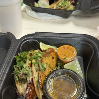 El Tragon Taqueria - BIRRIA TACO (NOT QUESABIRRIA) - Mexican Near Me - Chicago, Illinois