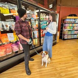 All The Best Pet Care