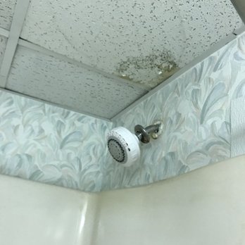 John Yancey Oceanfront Inn - Yeah I don't even know how to describe the drop ceiling here. Note the shower head is only about 5'8" off the ground. - Hotels Near Me - Kill Devil Hills, North Carolina